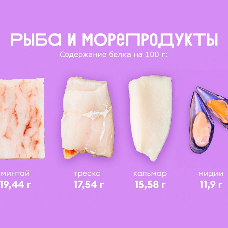 produkty-lidery-po-soderzhaniyu-belka